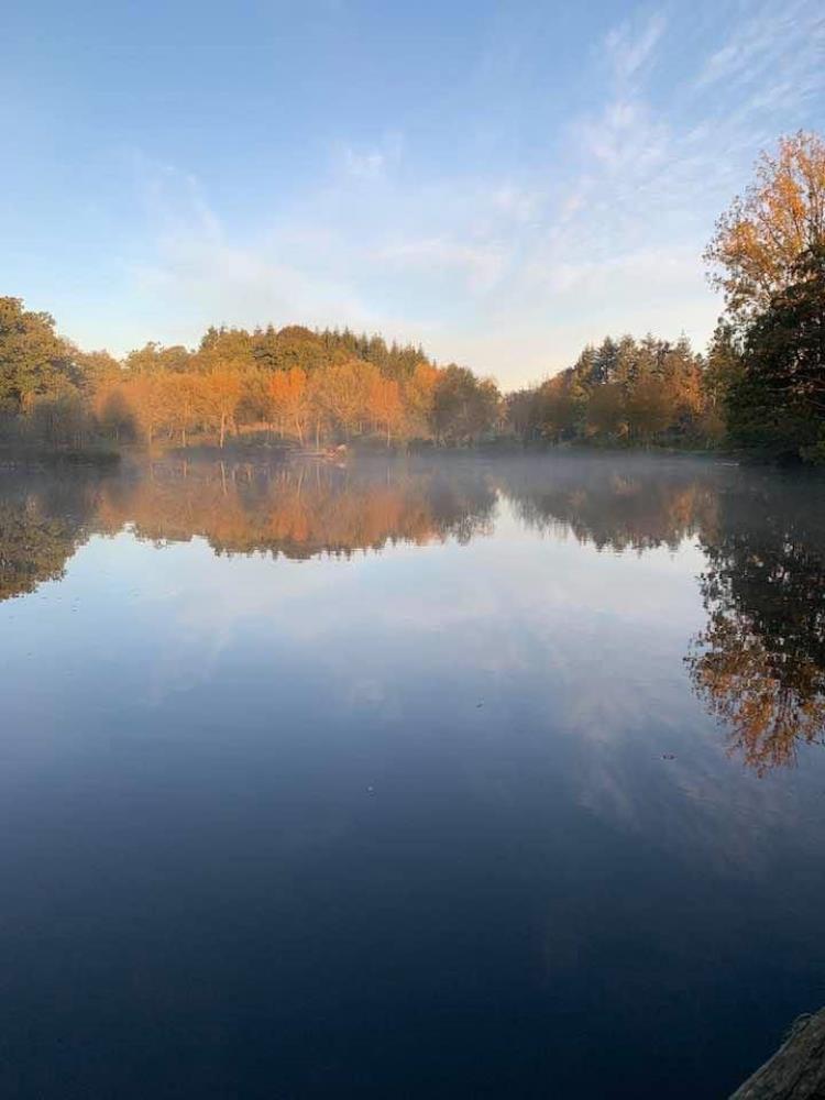 View the Bellevue Lake Scenic & Facility Gallery Etang Marolles
